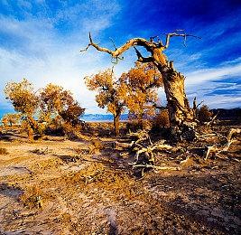 银河恶魔城风格2D动作游戏《生物相》 现已在Steam平台发售