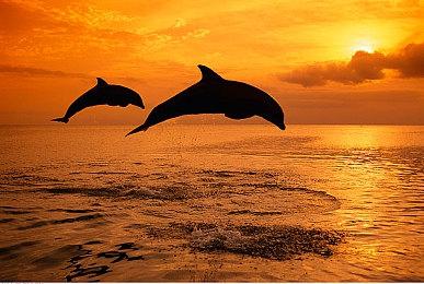 Suda51暗示《杀手7》有望推出续作或重制版